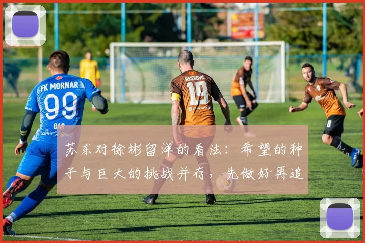 苏东对徐彬留洋的看法：希望的种子与巨大的挑战并存，先做好再追求完美