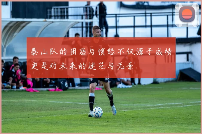 泰山队的困惑与愤怒不仅源于成绩更是对未来的迷茫与无奈