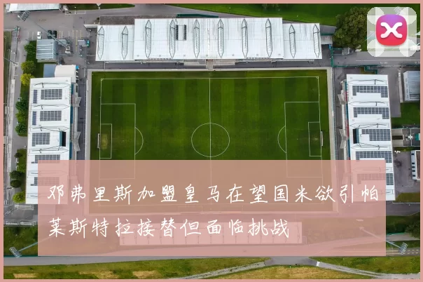 邓弗里斯加盟皇马在望国米欲引帕莱斯特拉接替但面临挑战